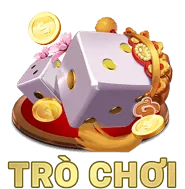 Bảo Vệ Dữ Liệu